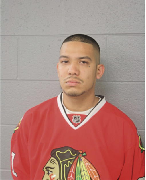 ARMANDO J DOMINGUEZ, Cook County, Illinois