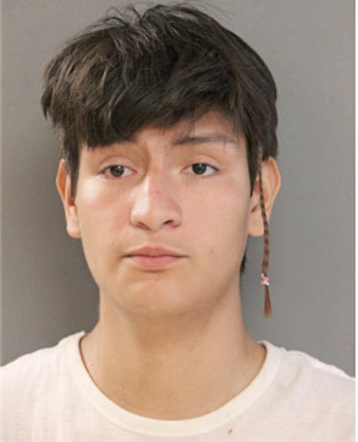 MIGUEL ESTRADA, Cook County, Illinois