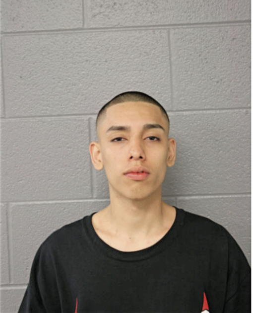 JESUS GALLEGOS, Cook County, Illinois