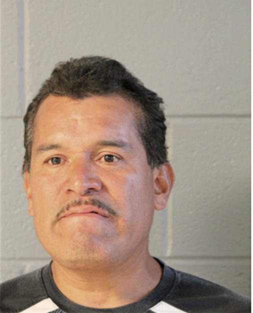 MARTIN GUERRERO-BRENES, Cook County, Illinois