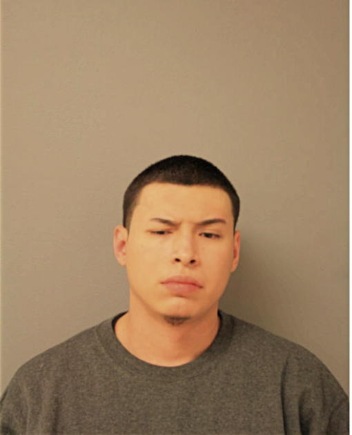IVAN GUZMAN, Cook County, Illinois