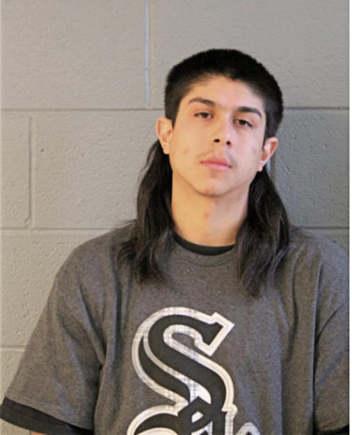 LUIS A JIMENEZ, Cook County, Illinois