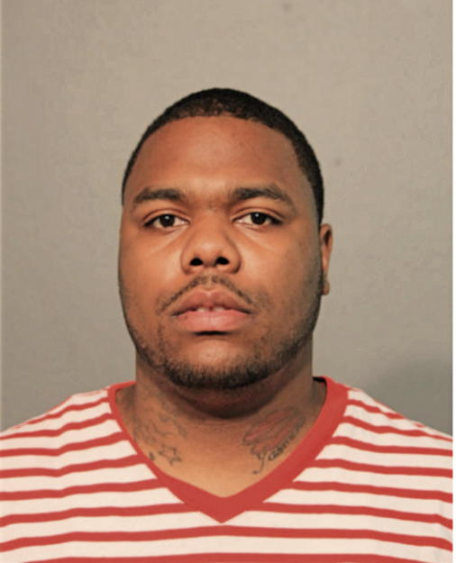 BRYCE A JOHNSON, Cook County, Illinois