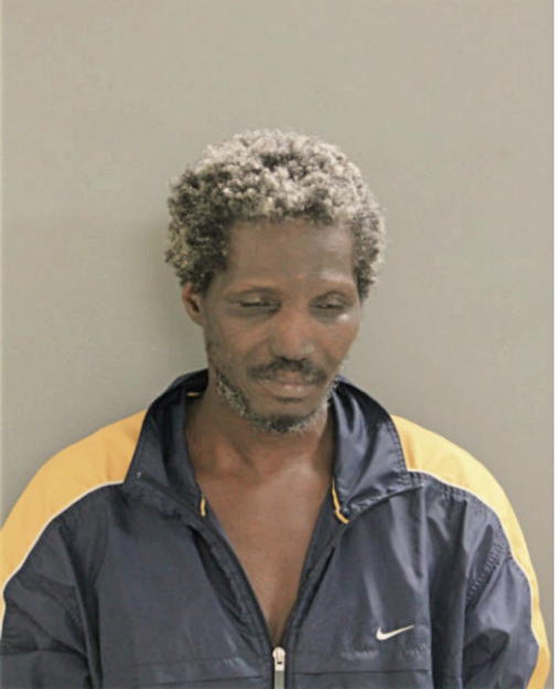 DENNIS R JOHNSON, Cook County, Illinois