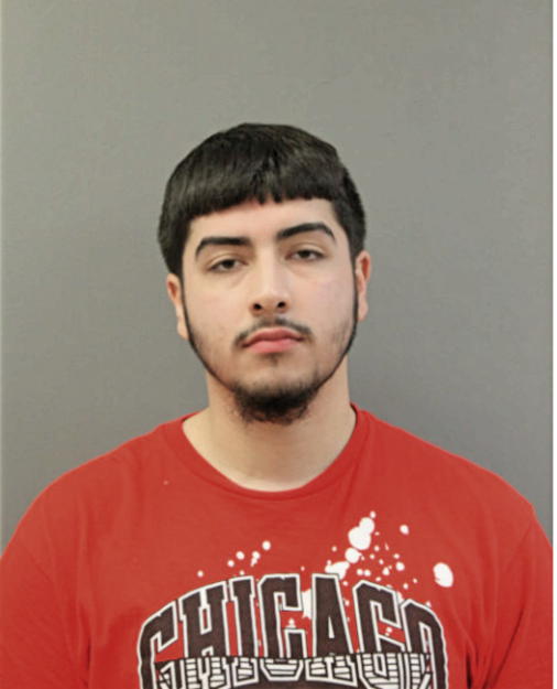 ANTONIO C LUNA, Cook County, Illinois
