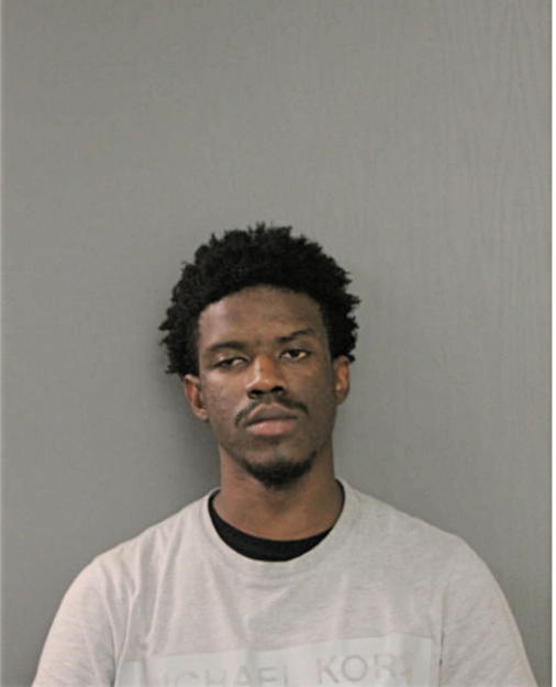 TERRELL M MCCOY, Cook County, Illinois