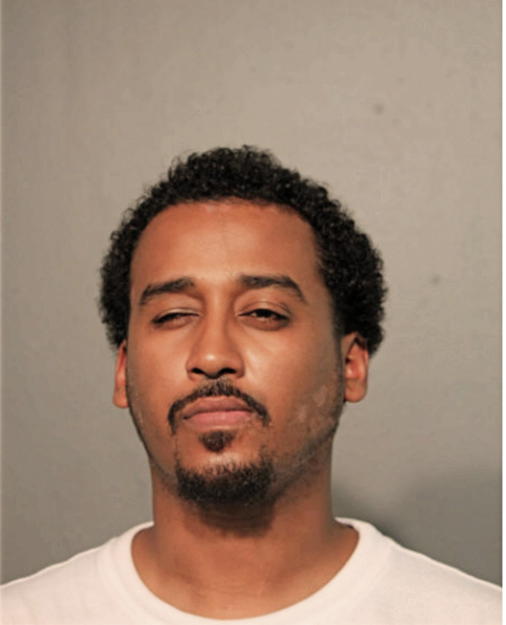 YOHAN A MENGSTEAB, Cook County, Illinois