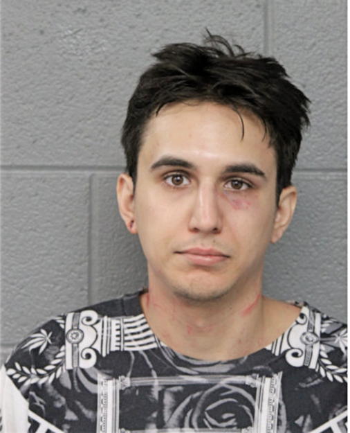 DAVOR B MICULINIC, Cook County, Illinois