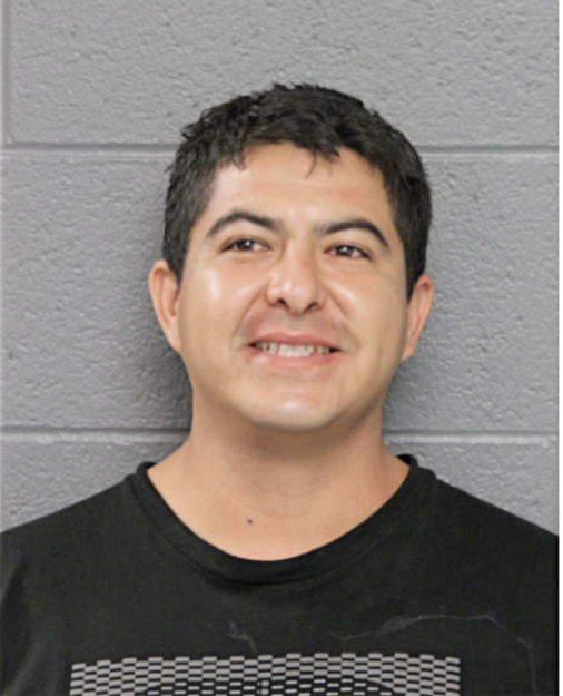 ALFONSO OCHOA-PATINO, Cook County, Illinois