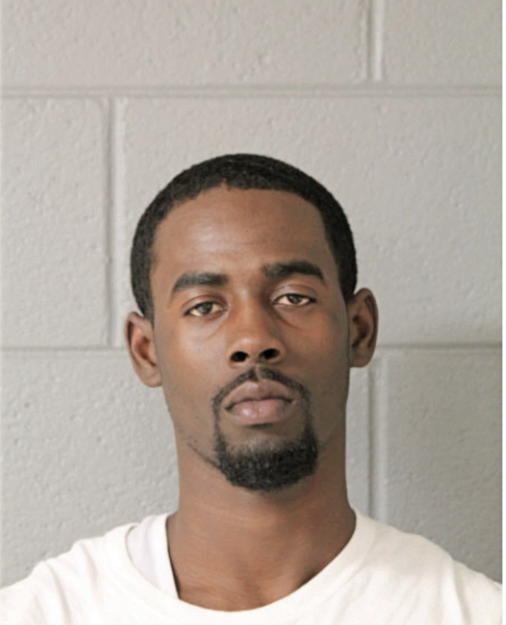 BRANDON D PALMER, Cook County, Illinois