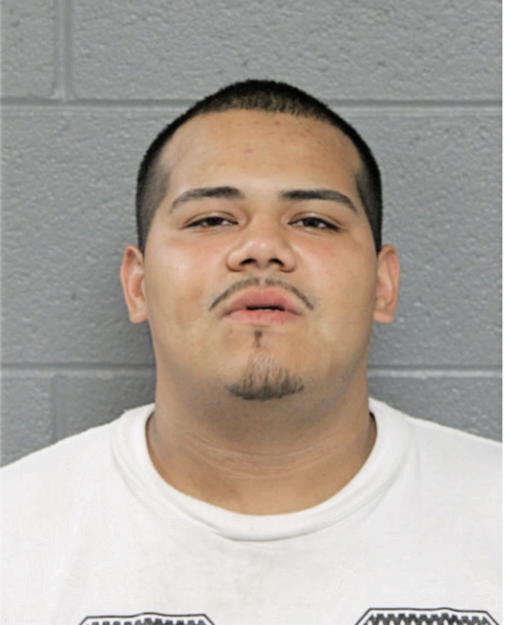 ABEL R PEREZ, Cook County, Illinois