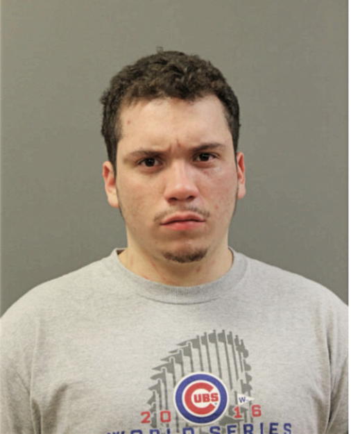 DAVID LUIS ROMAN, Cook County, Illinois