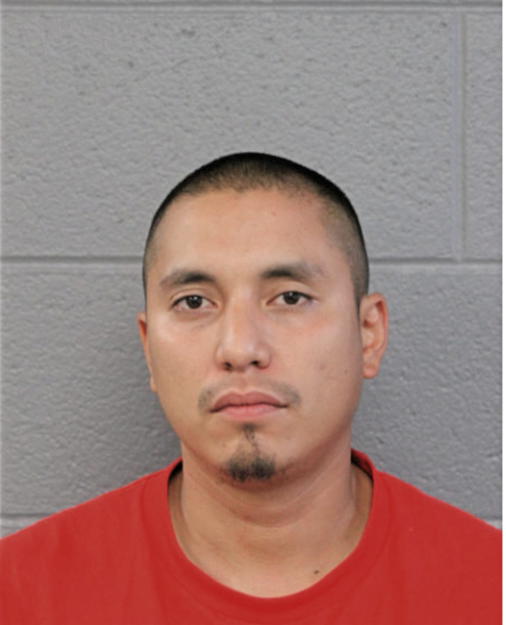 ADONIS J SALGADO, Cook County, Illinois