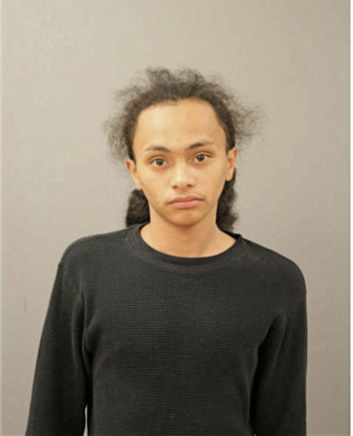 GERARDO TORRES, Cook County, Illinois