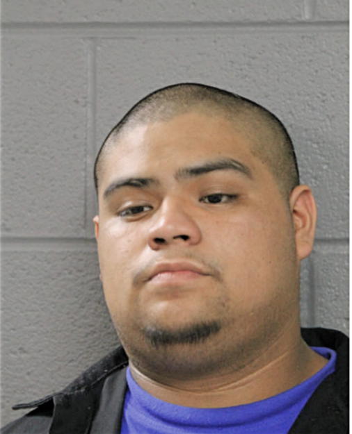 NESTOR VILLALOBOS, Cook County, Illinois