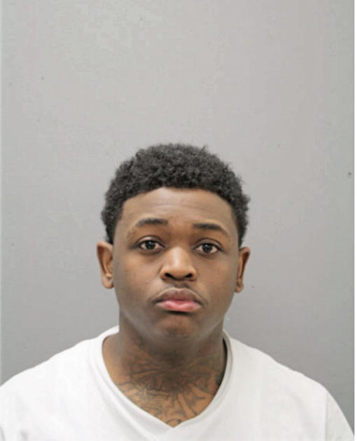 RAPHAEL R WHITE, Cook County, Illinois