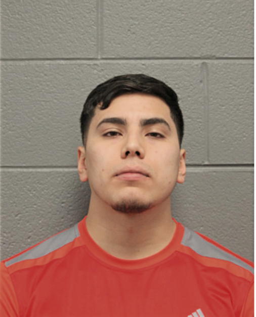 LUIS A ABREGO, Cook County, Illinois