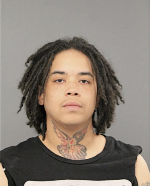 JAY L BAUMANN, Cook County, Illinois