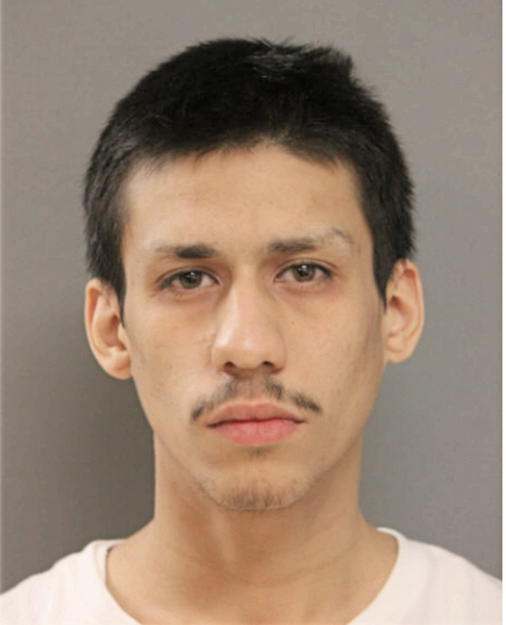 ISMAEL F CAMPOS, Cook County, Illinois