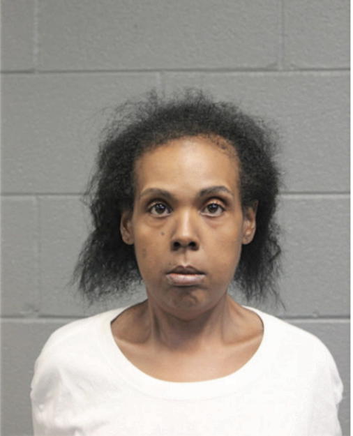 LISA N COLEMAN, Cook County, Illinois