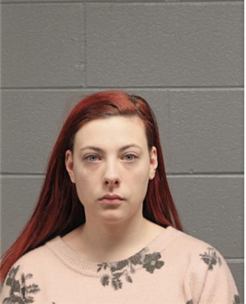 BRITTANY A CUMMINGS, Cook County, Illinois