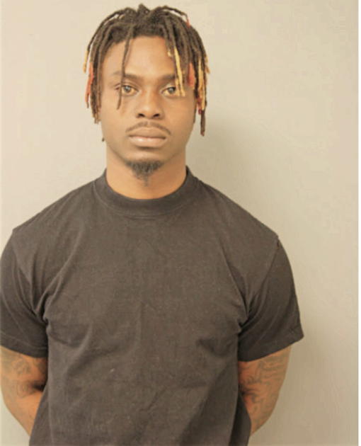 BABATUNAE DAVID, Cook County, Illinois
