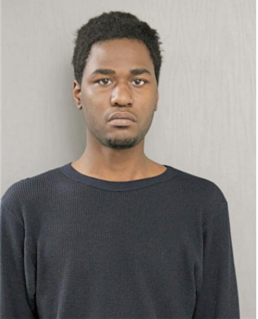 RAYMOND J FREEMAN, Cook County, Illinois
