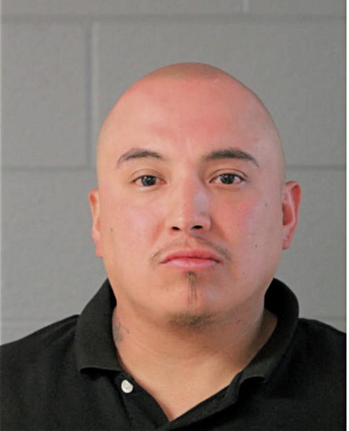 EUGENE A GARZA, Cook County, Illinois