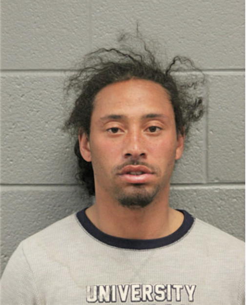 LASHAWN GREEN, Cook County, Illinois