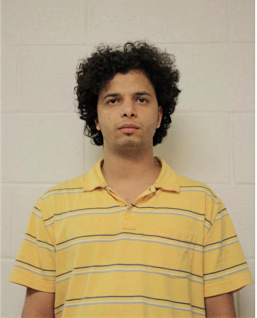 MOHAMED N HASSAN, Cook County, Illinois