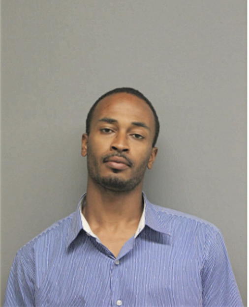 DONALD L JOHNSON JR., Cook County, Illinois