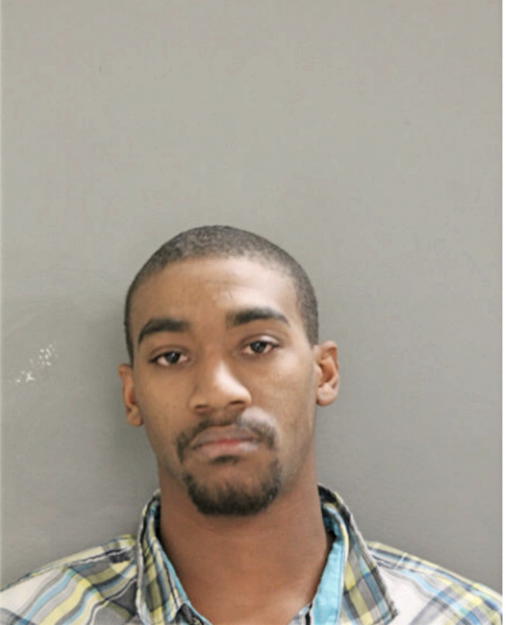 RYAN J JOHNSON, Cook County, Illinois