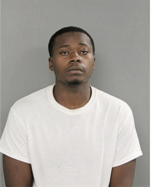 TERRENCE C JOHNSON, Cook County, Illinois