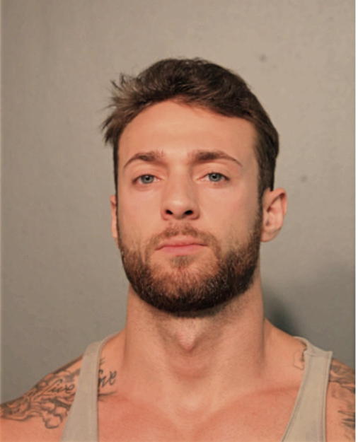 CHRISTIAN N MCCOY, Cook County, Illinois