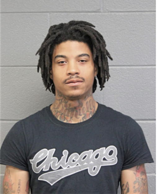 DEMARCO D MILES, Cook County, Illinois
