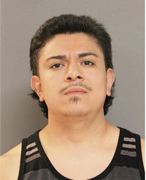NOE NAVARRO, Cook County, Illinois