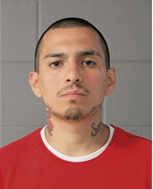 ENRIQUE NOPALES, Cook County, Illinois