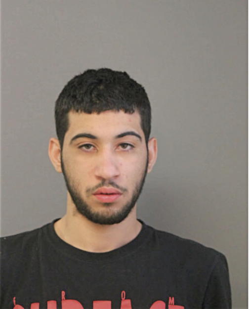 GIOVANNY ORTIZ, Cook County, Illinois