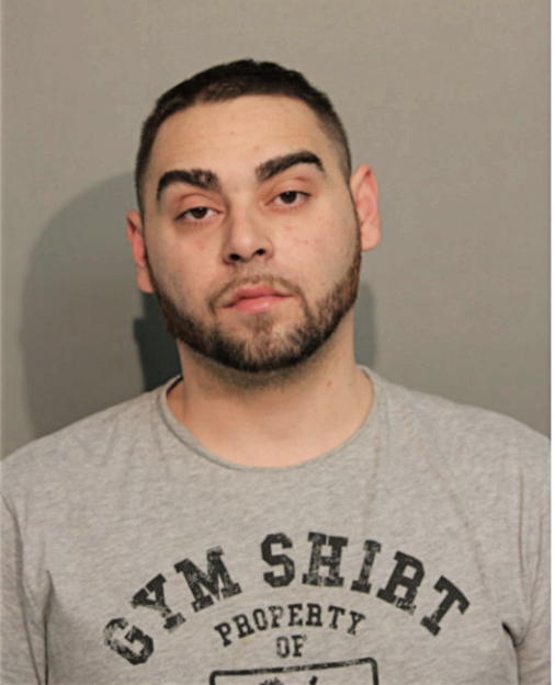 NICHOLAS G REED, Cook County, Illinois