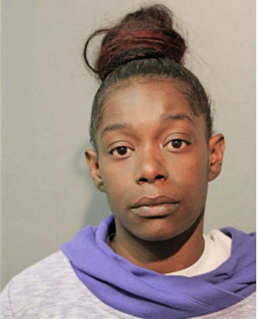 ERICA V RICE, Cook County, Illinois