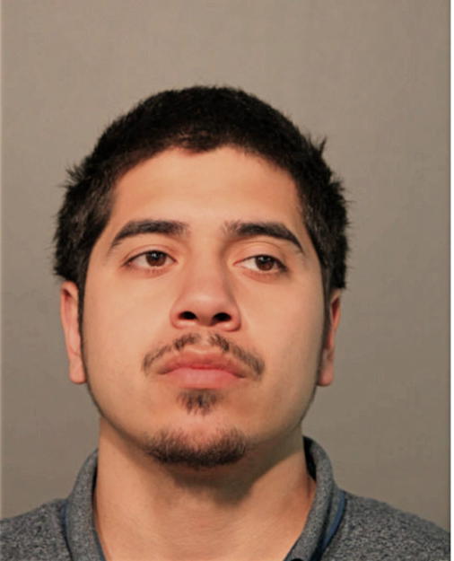 ALBERT ROMAN, Cook County, Illinois