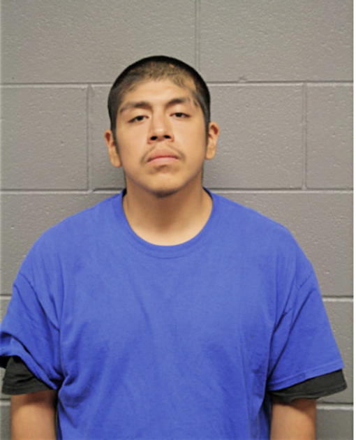 NOE ROMERO, Cook County, Illinois