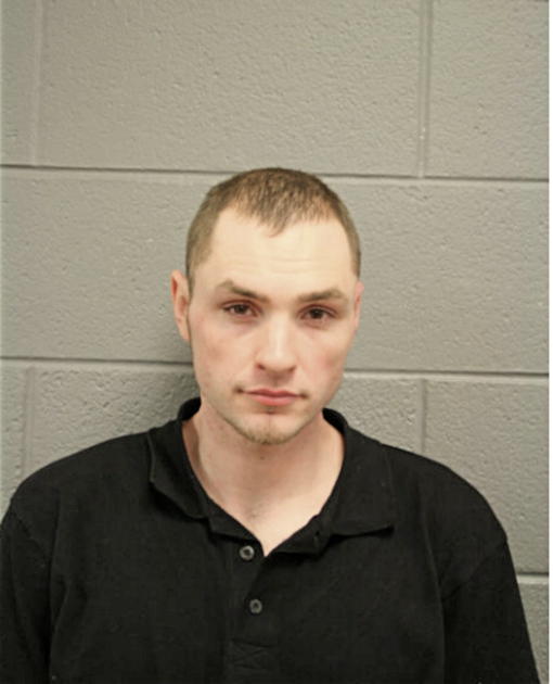 BRADLEY M SCHULTEN, Cook County, Illinois