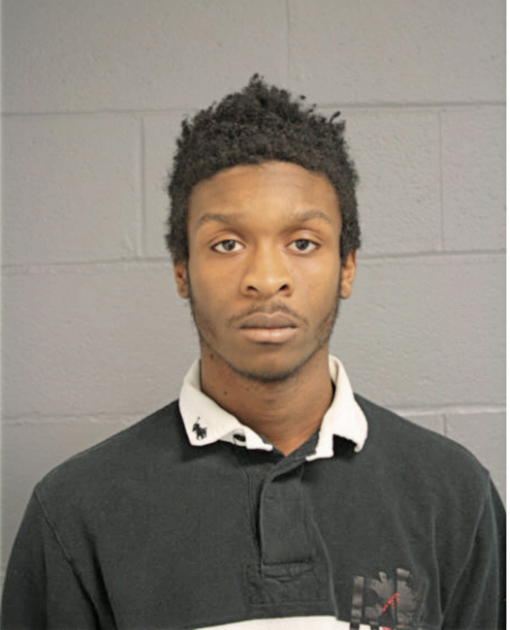CHRIS E SMITH, Cook County, Illinois