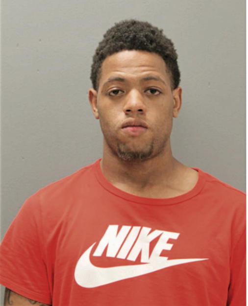 DAMEIAN T ANDERSON, Cook County, Illinois