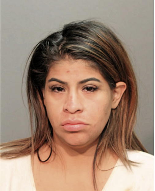 CHRISTINA L TIMMIE, Cook County, Illinois