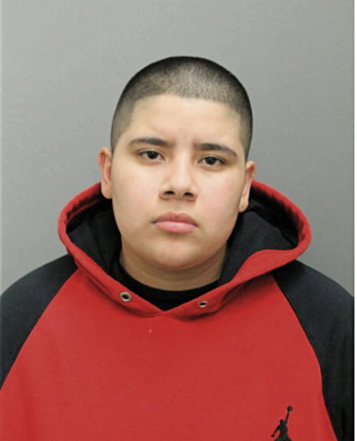 ADRIANA VASQUEZ, Cook County, Illinois