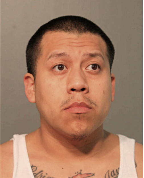RICHARD ALCANTARA, Cook County, Illinois