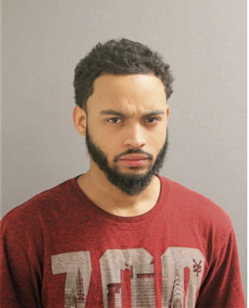 FRANKIE R BURGOS, Cook County, Illinois
