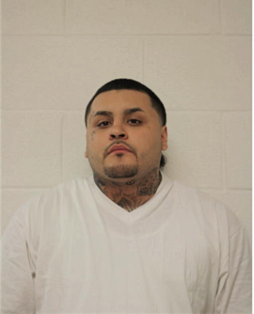RENE E CARDONA, Cook County, Illinois